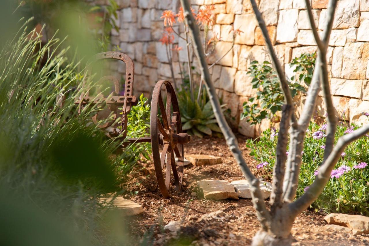 Villa Sun Garden - 4 Star Villa With Heated Swimming Pool, Quiet Bay, Bbq, 50M From The Sea Milna  Exteriér fotografie